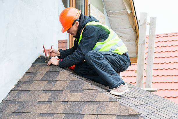Best Roof Gutter Cleaning  in Mi Wuk Village, CA